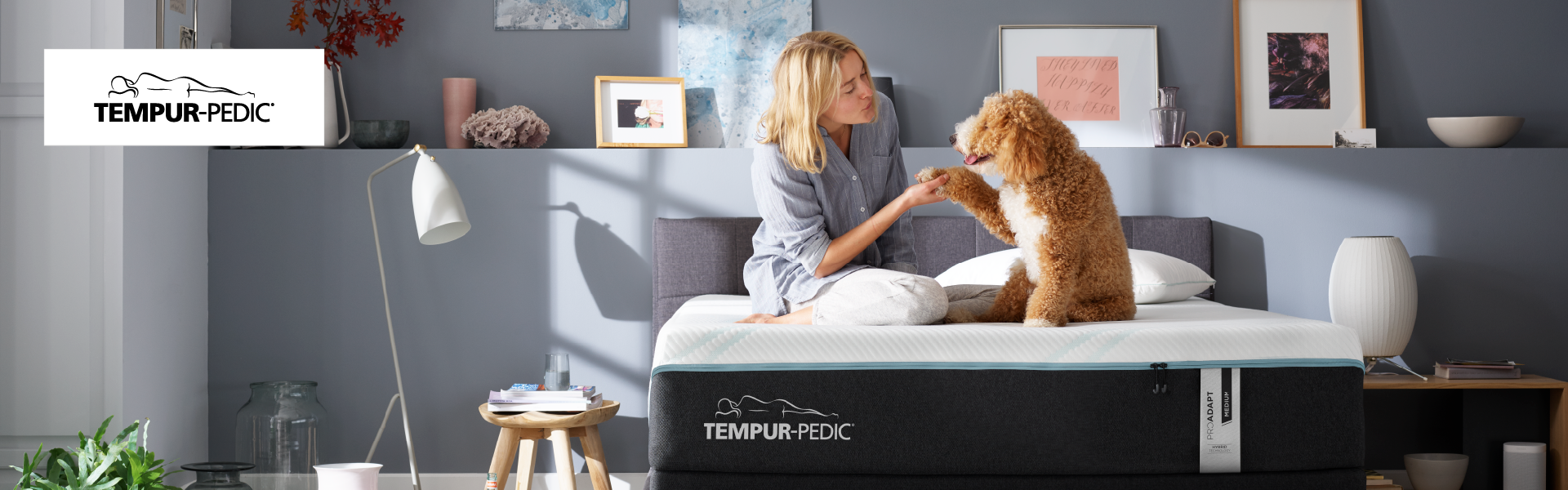 Shop Tempur-pedic