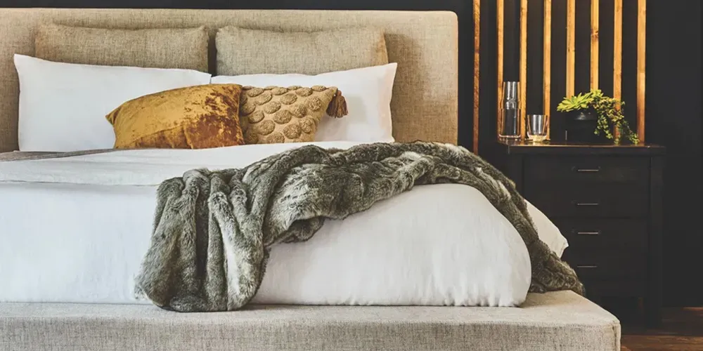 Stanley's Furniture showroom interior