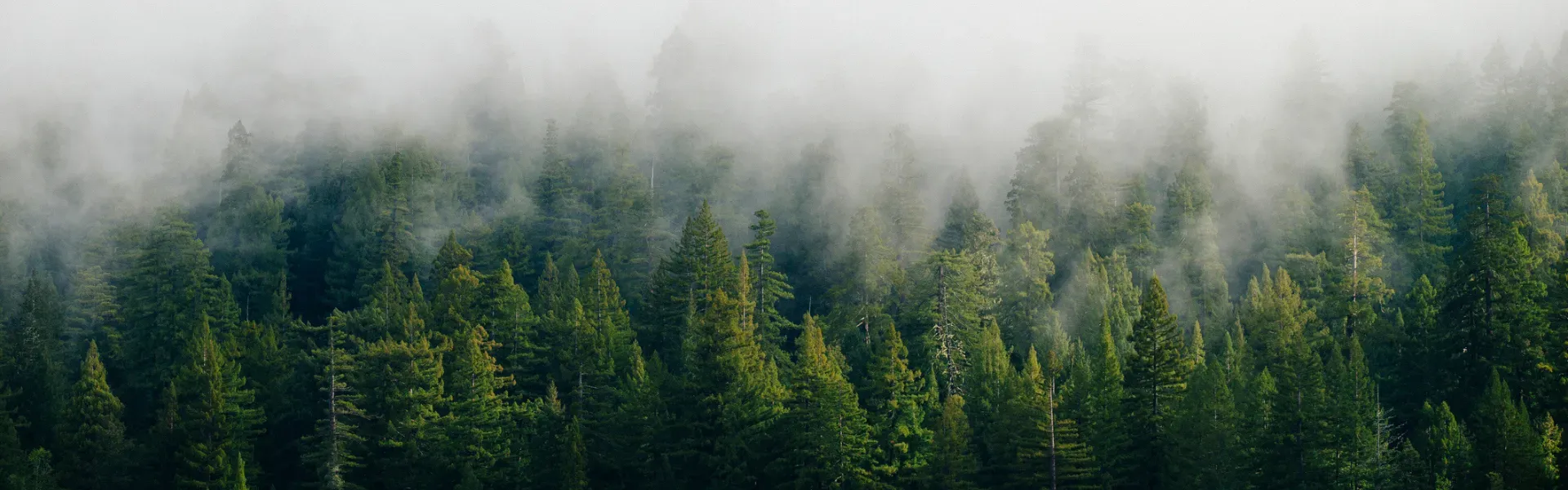 LaFollette, Tennessee — Wender Furniture