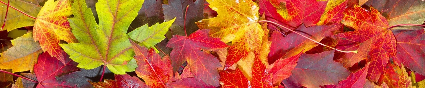 VERMONT MADE PRODUCTS